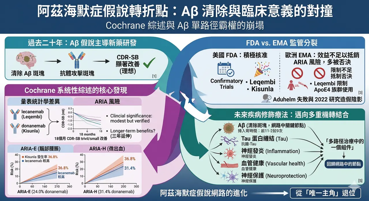 Dcard 原圖:阿茲海默症20年來的假說開始崩盤?