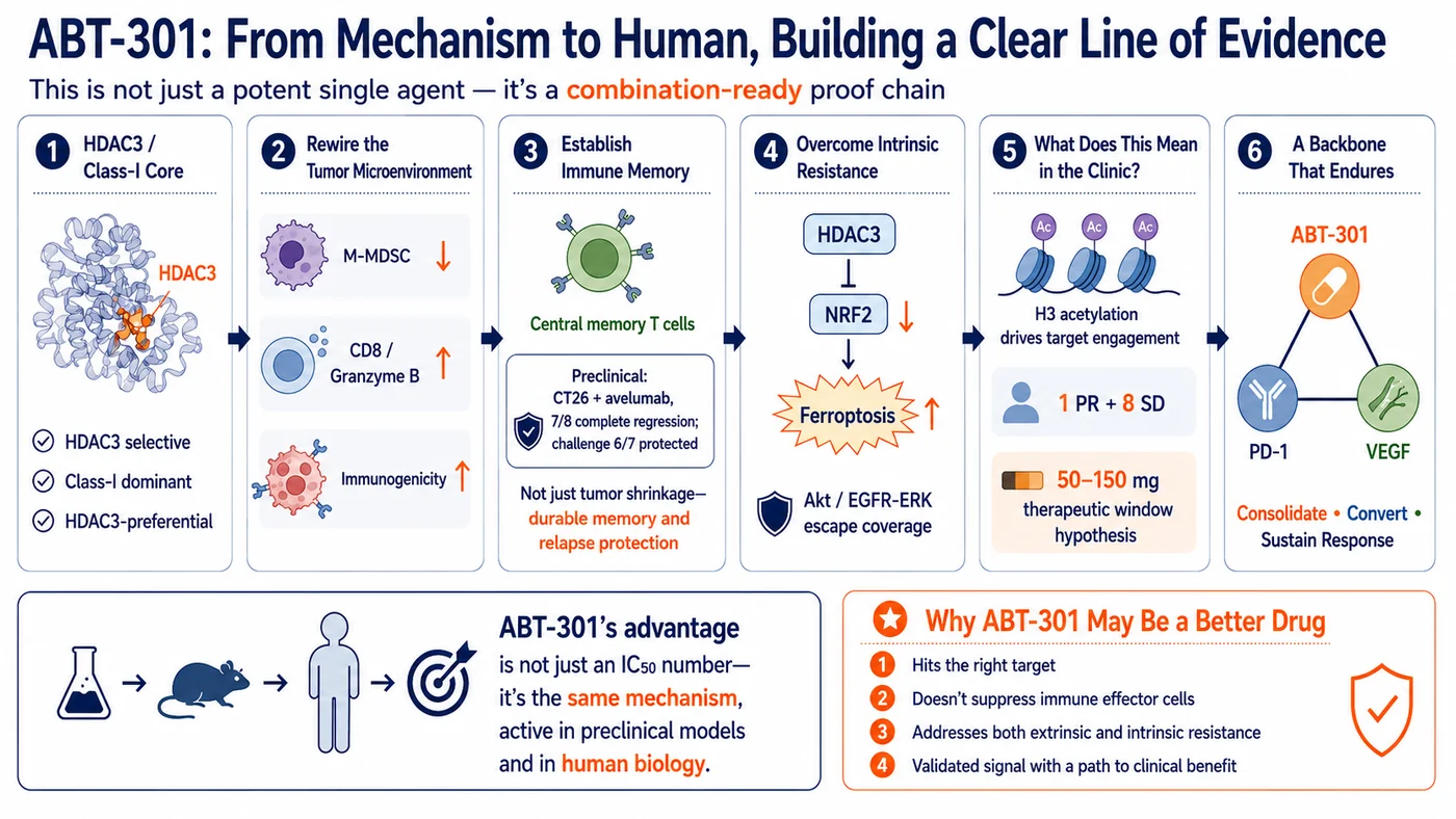 Figure 3 | ABT-301’s differentiation thesis links HDAC3 targeting, immune-microenvironment remodeling, and resistance biology to human exposure and, ultimately, combination-treatment validation.