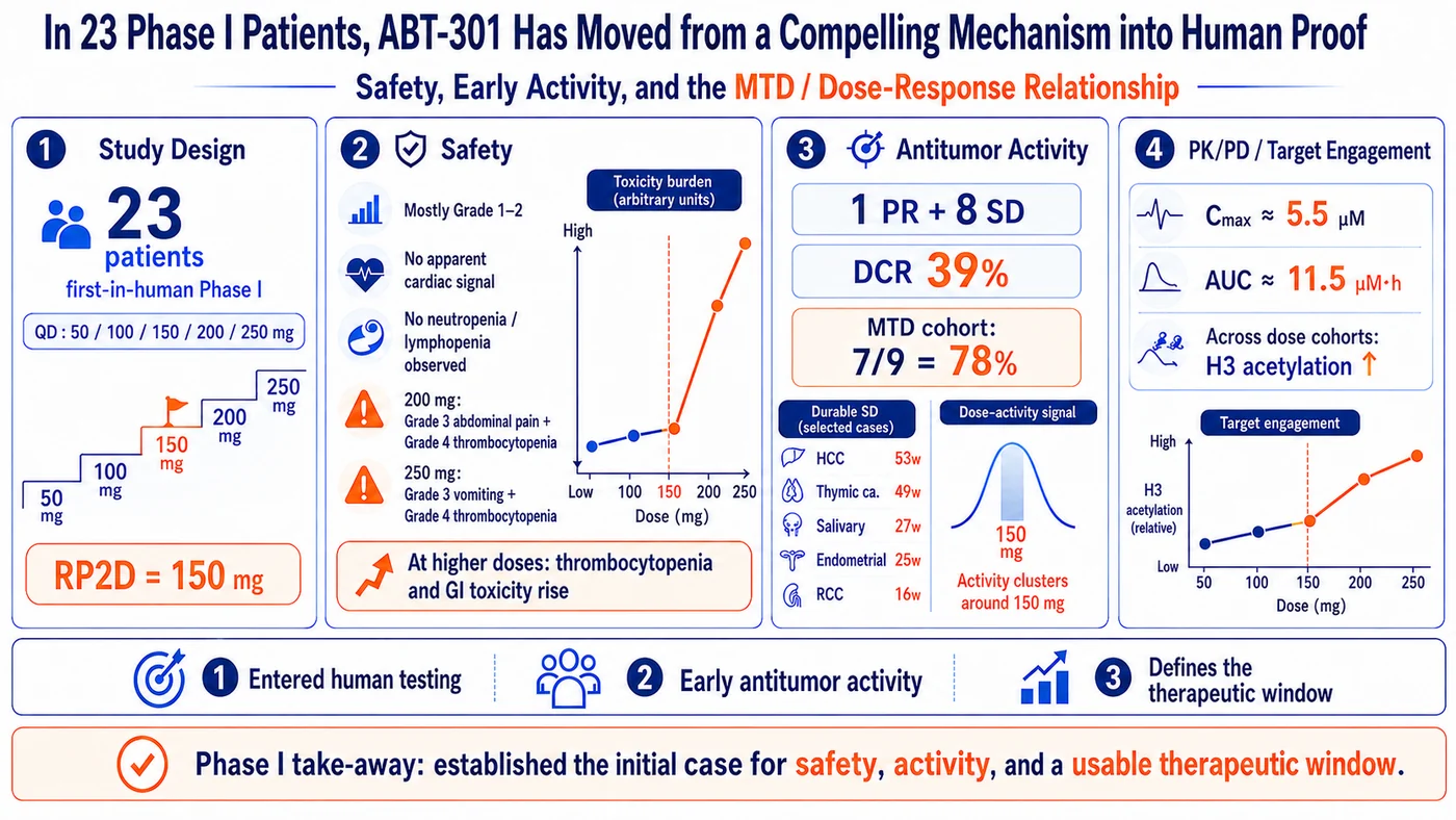 Figure 4 | Phase I established the human foundation for ABT-301 — safety, preliminary activity, target engagement, and a workable dose range — but not yet comparative proof.