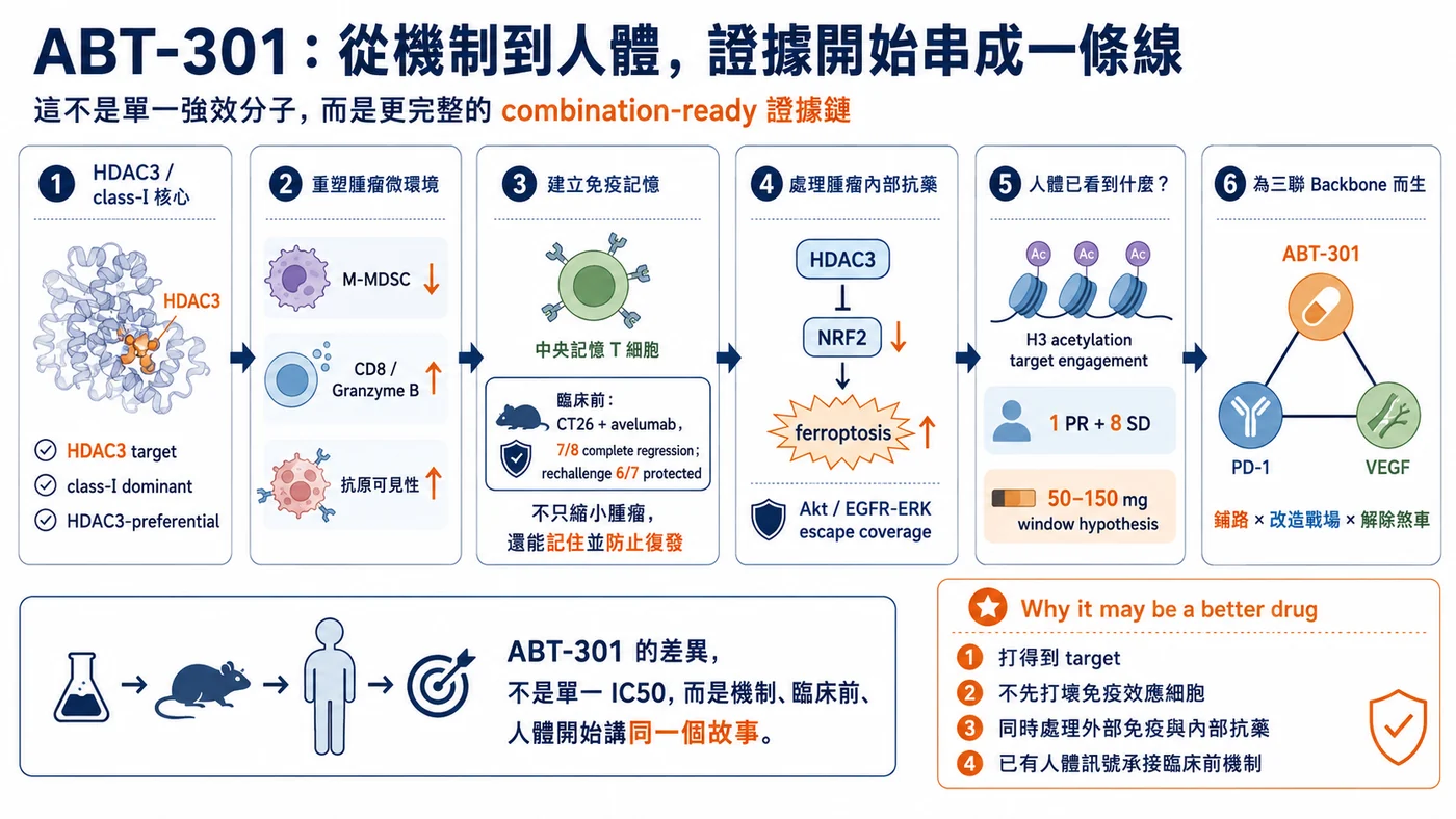 圖3｜ABT-301的差異化證據鏈：由HDAC3標靶、免疫微環境與抗藥路徑，逐步連到人體暴露與聯合治療驗證。