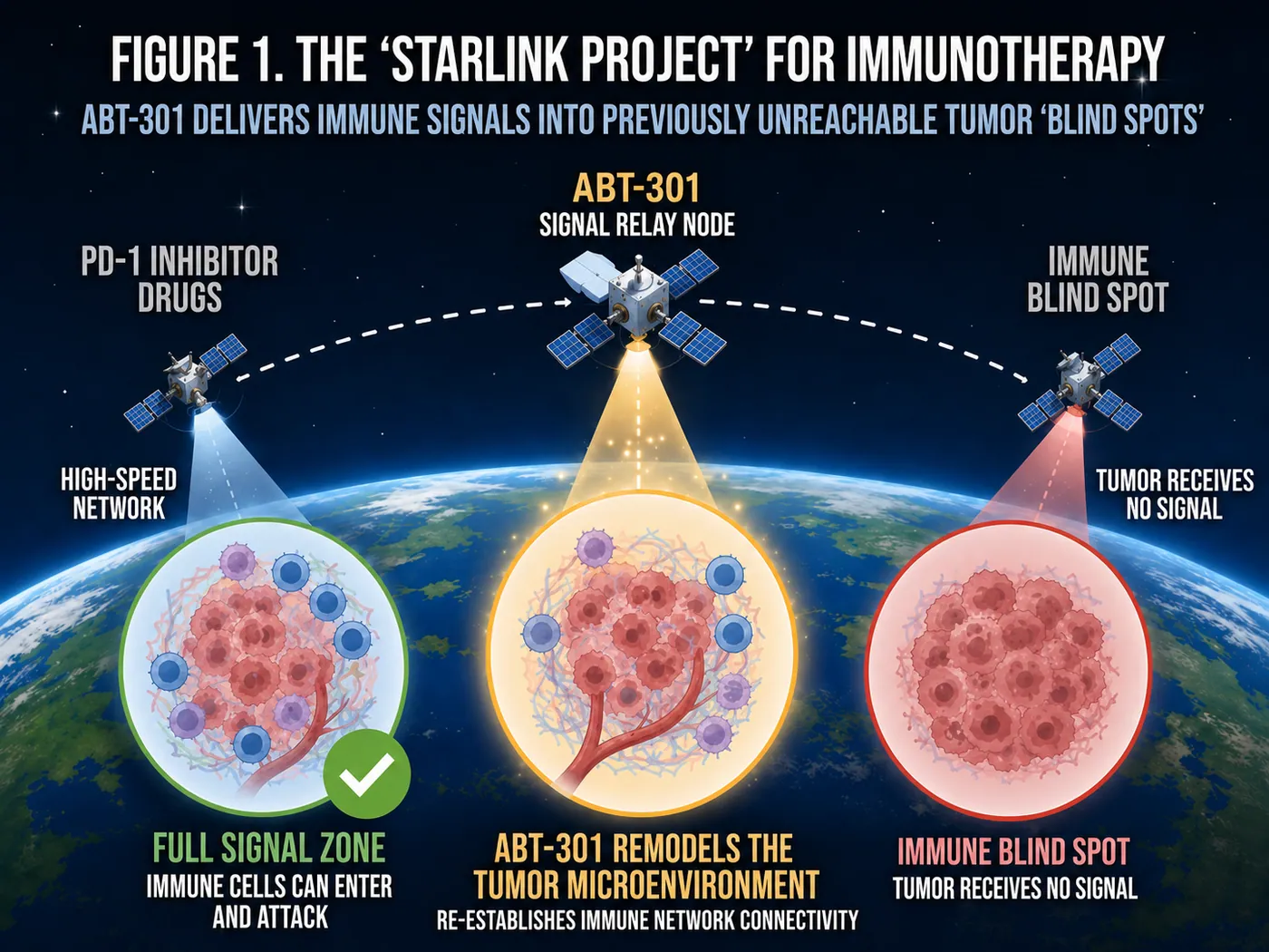 Figure 1 | A “Starlink” for cancer immunotherapy: ABT-301 is designed to carry immune signaling into tumors that remain beyond the reach of current treatment.