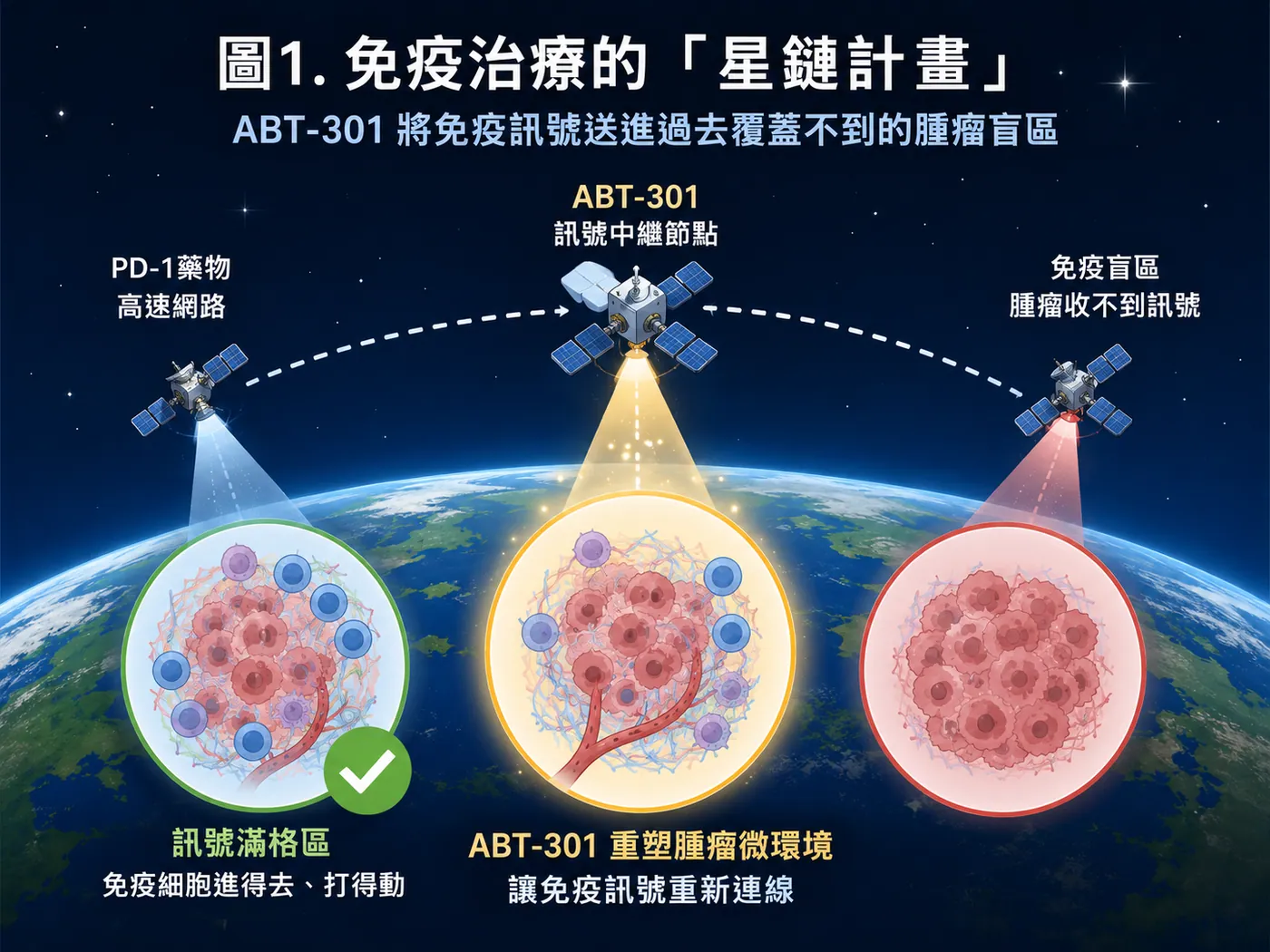 圖1|免疫治療的「星鏈計畫」:ABT-301嘗試把免疫訊號送進治療盲區