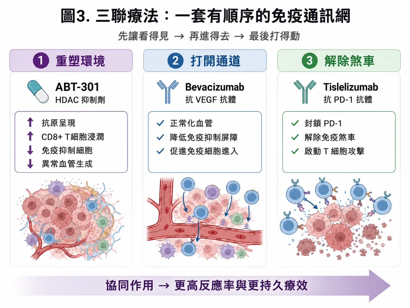 圖3|三聯療法的順序式邏輯:重塑環境、打開通道、解除煞車