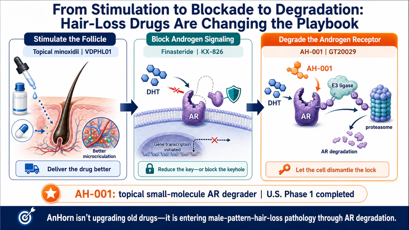 Evolution from follicle stimulation to localized androgen-receptor degradation