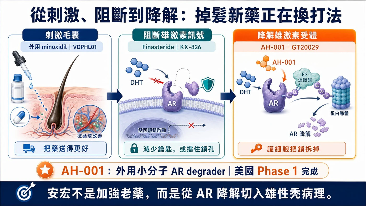 從刺激毛囊到局部降解雄激素受體的治療機制演進