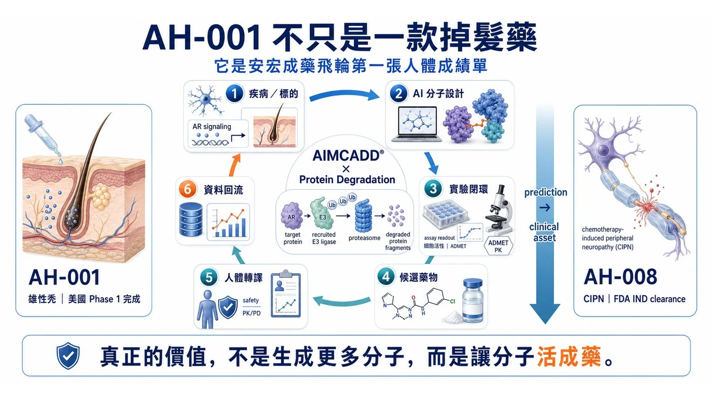 安宏 AIMCADD 與蛋白質降解平台的臨床資產飛輪