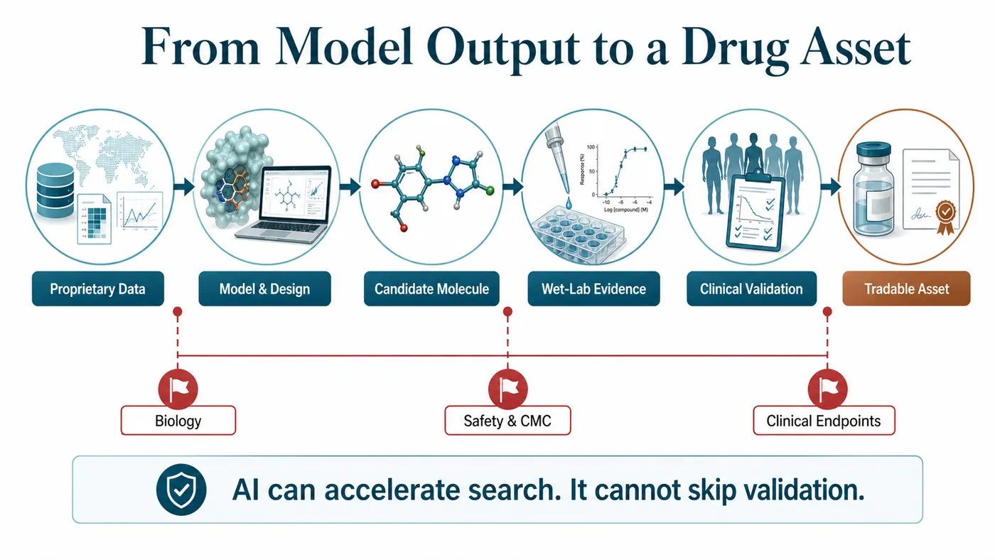 A model output must pass through experimental validation, development gates and human evidence before it becomes a drug asset