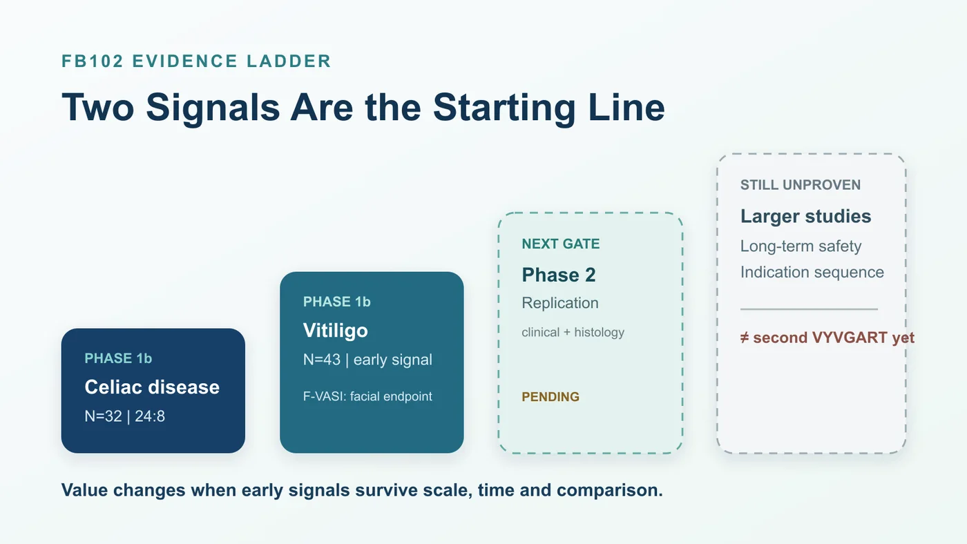 The evidence ladder for FB102 runs from two Phase 1b signals to Phase 2 replication, larger studies and long-term safety