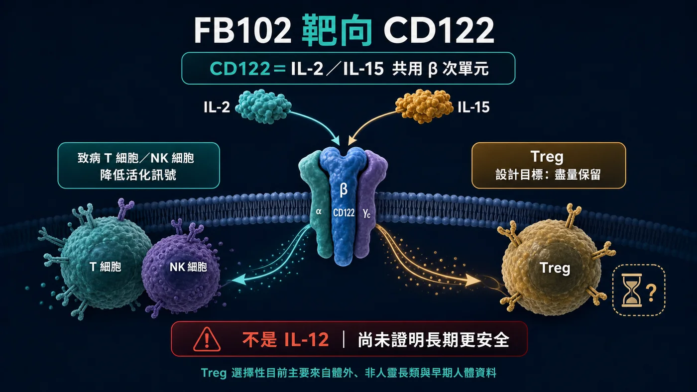 FB102 的 CD122、IL-2 與 IL-15 作用邊界