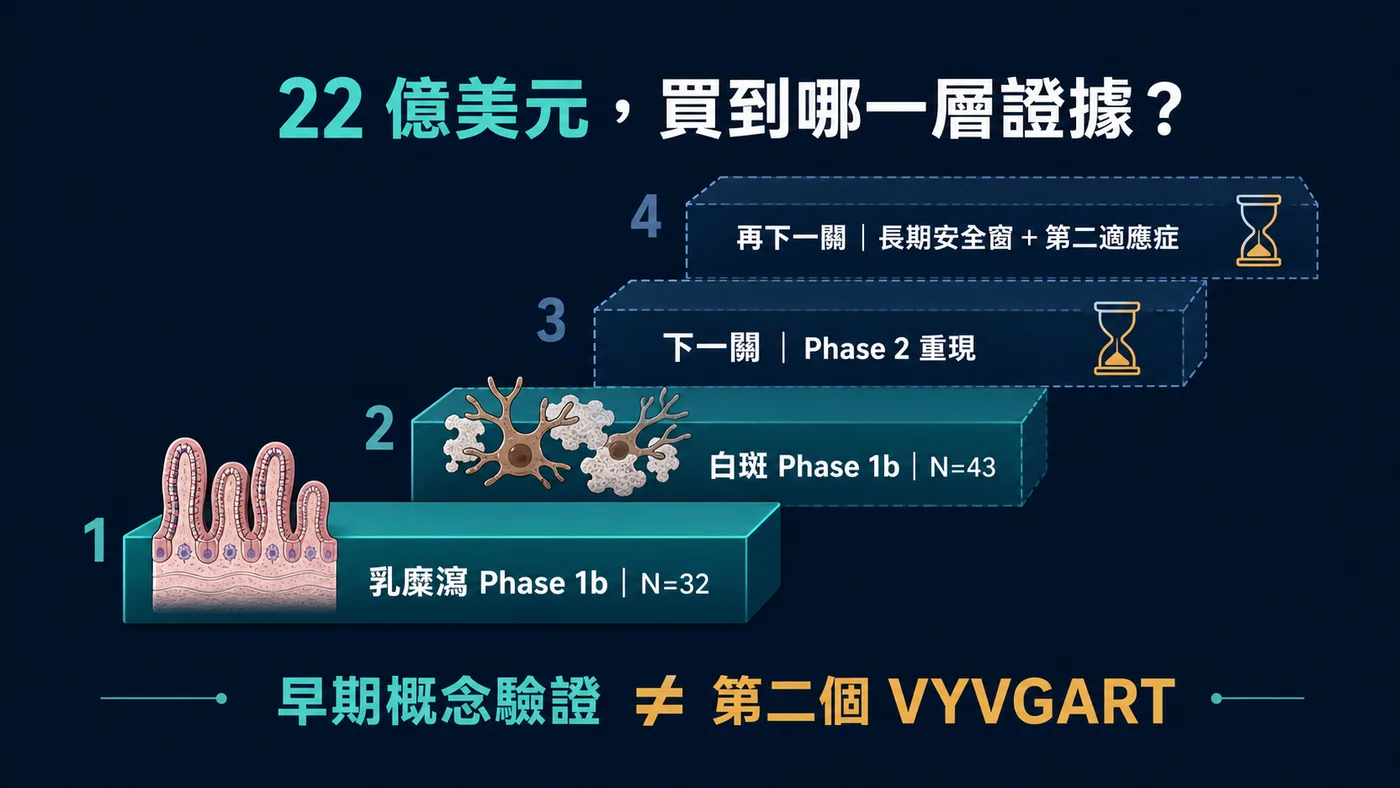 FB102 從兩組 Phase 1b 訊號走向 Phase 2 與長期安全驗證的證據階梯