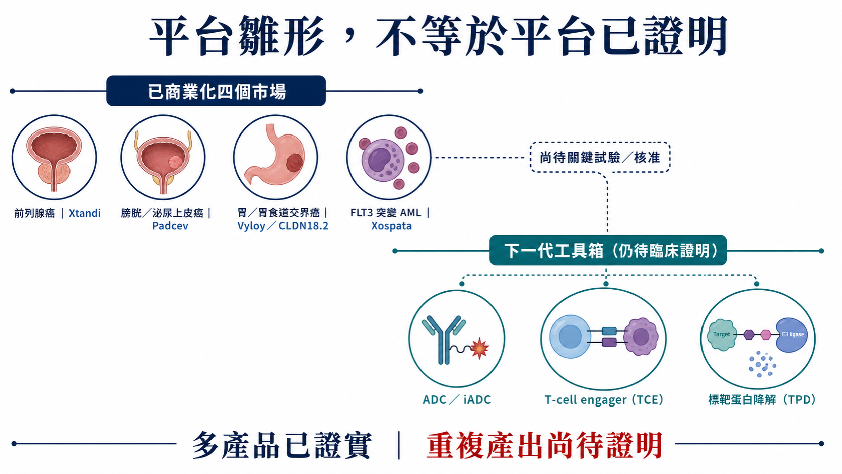 安斯泰來已形成跨癌種、跨模態的平台雛形