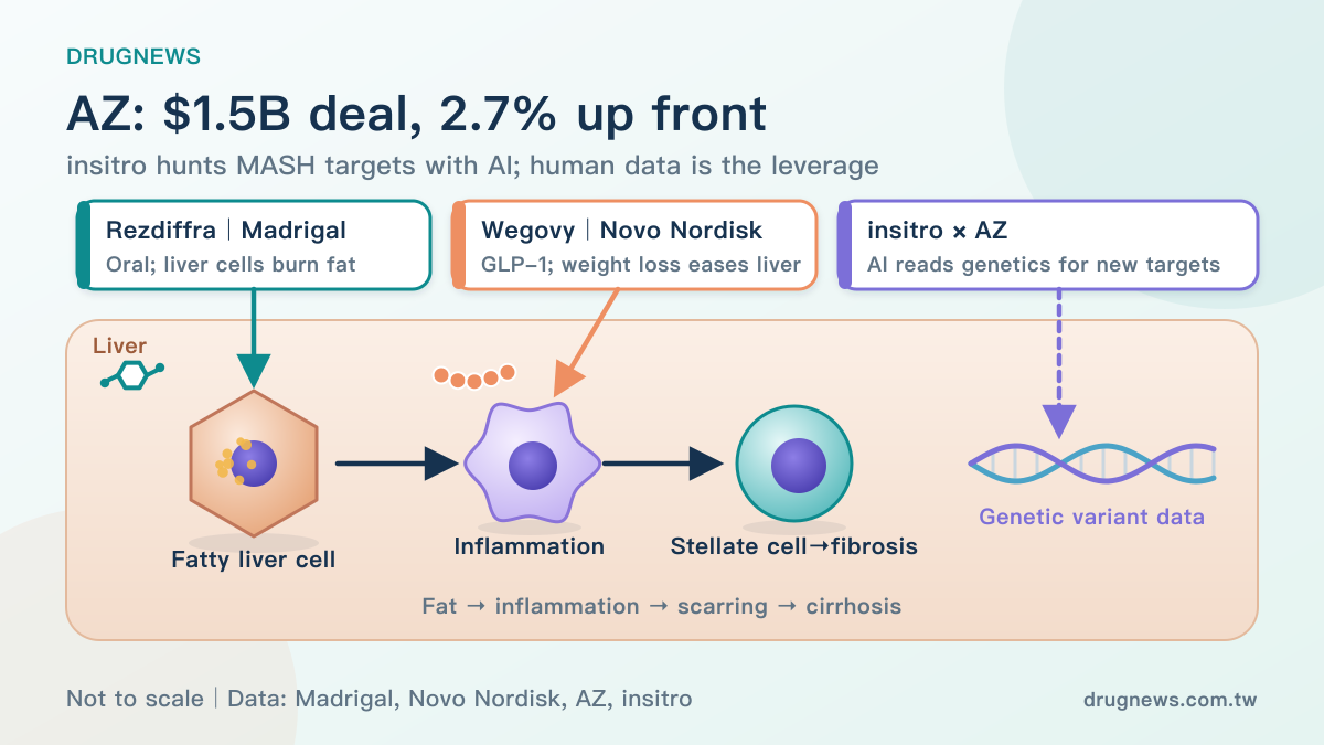MASH liver mechanism: Rezdiffra acts in liver cells, Wegovy eases the liver's load, insitro uses genetic data to find new targets for AstraZeneca