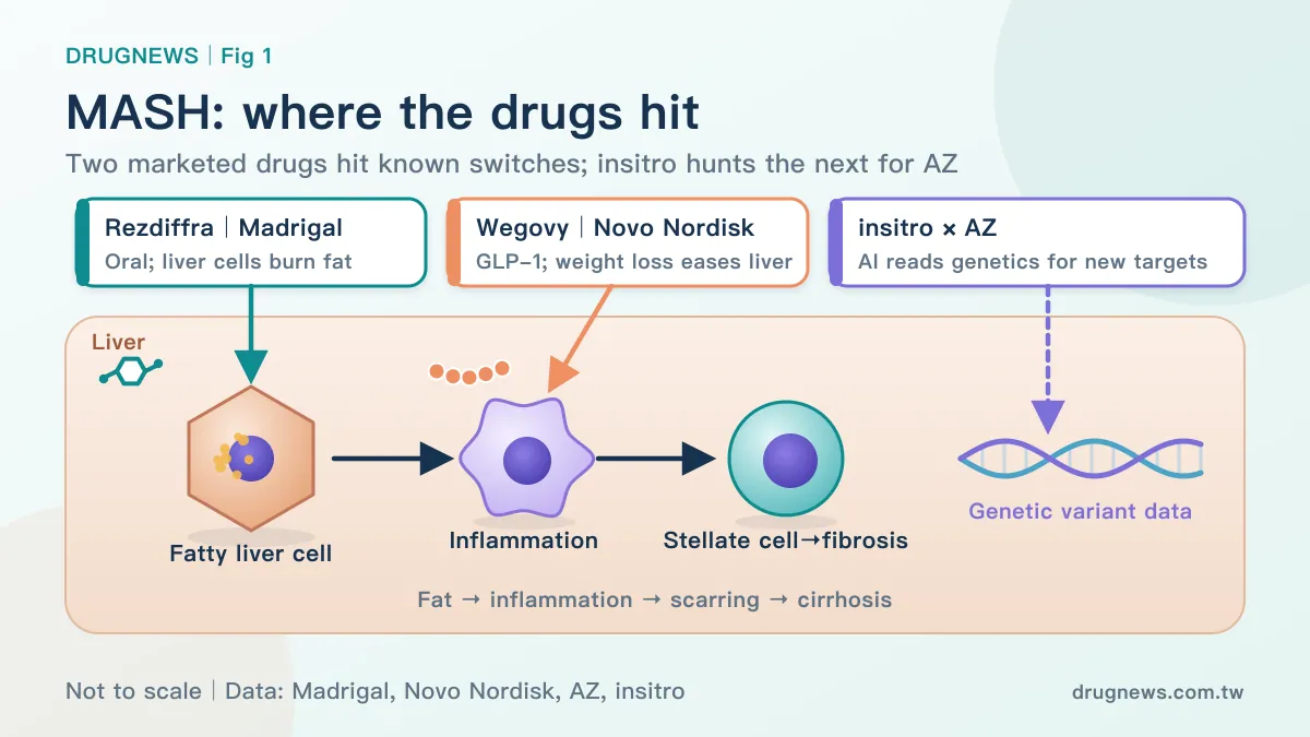 Figure 1｜Rezdiffra and Wegovy hit known switches; insitro hunts the next one for AstraZeneca