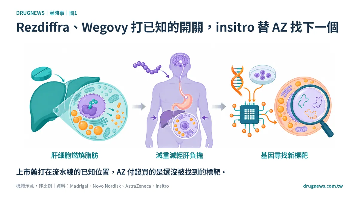 圖1｜Rezdiffra、Wegovy 打已知的開關，insitro 替 AZ 找下一個