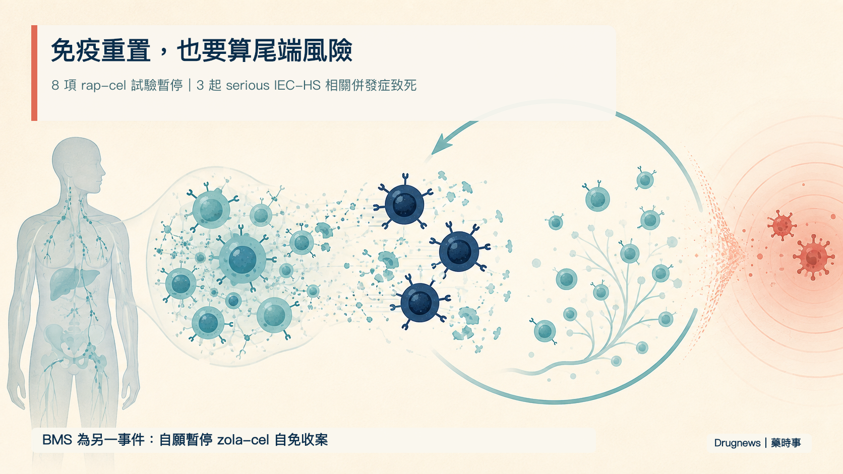 自免 CAR-T 第一次被迫重算：療效之外，尾端安全風險如何縮小市場？