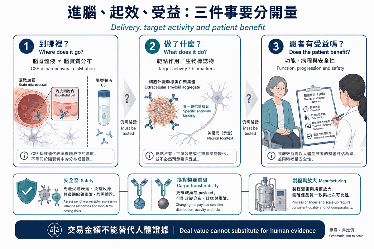 圖4|腦部分布、靶點作用與患者臨床受益分成三個證據層,另列安全、貨物可替換性及製造要求
