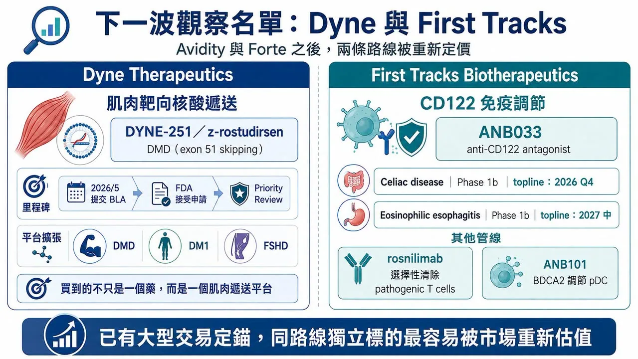 圖 3|Avidity 與 Forte 交易後,Dyne 的肌肉靶向核酸遞送與 First Tracks 的 CD122 免疫調節成為下一波觀察重點