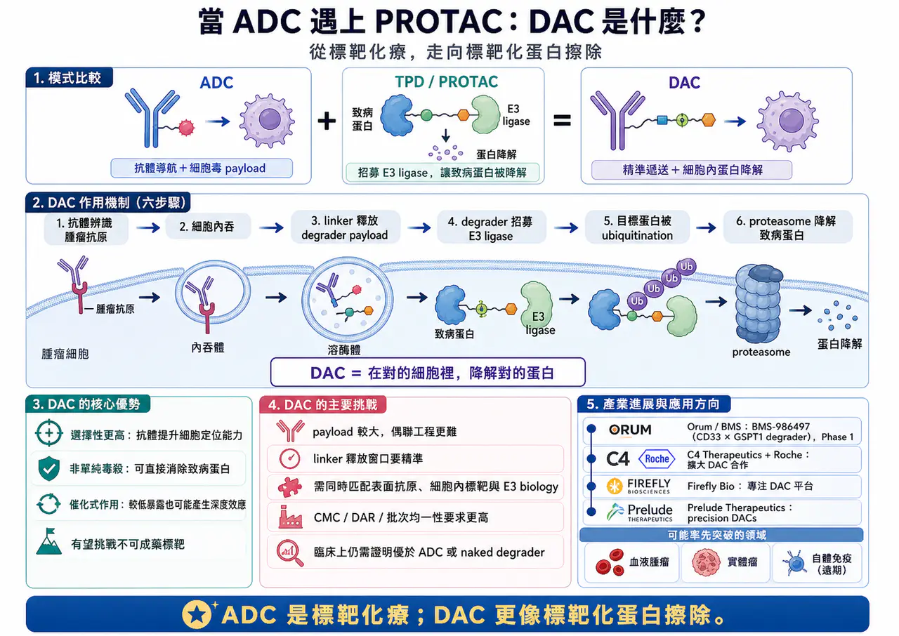 Dcard 原圖:DAC(降解劑-抗體偶聯藥物)會是下一代標靶藥物的新引爆點嗎?