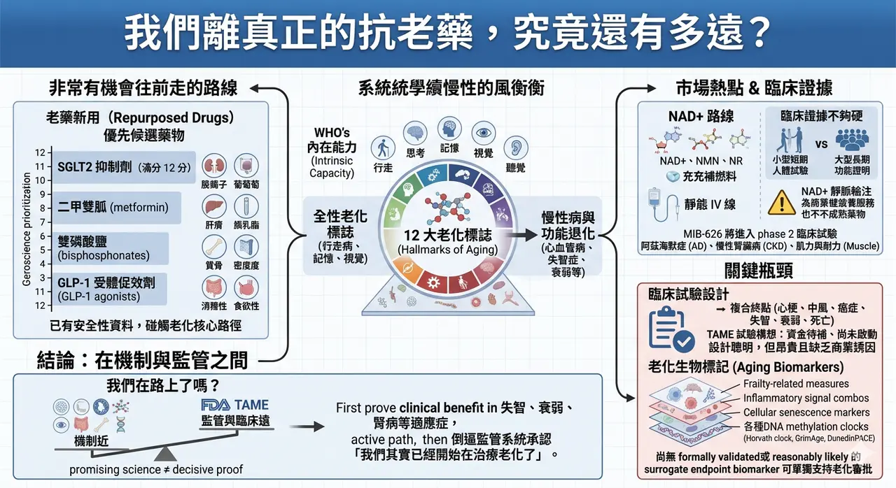 Dcard 原圖:我們離真正的抗老藥,究竟還有多遠?