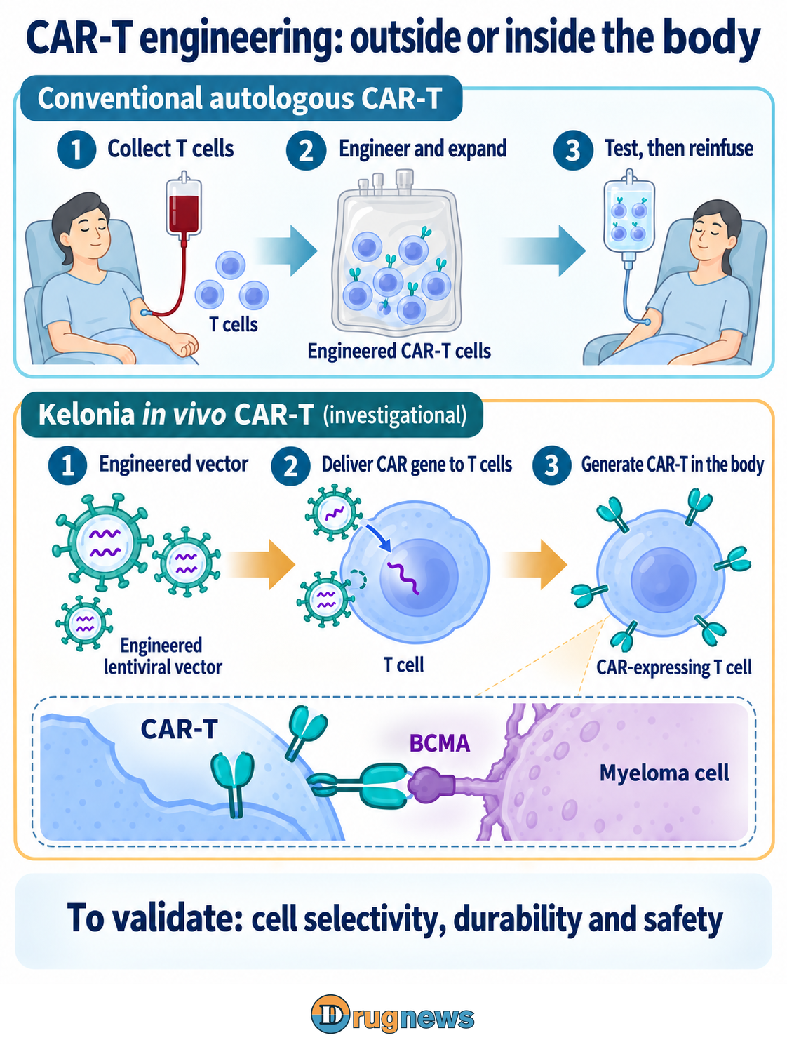 Figure 2. In vivo CAR-T remains investigational. Intermediate molecular steps after vector entry are omitted.