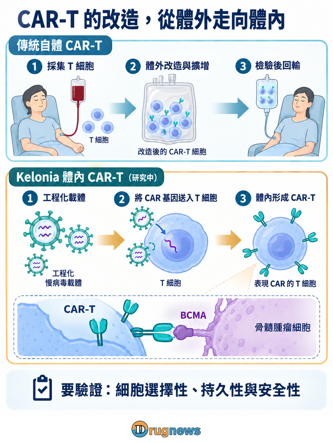 圖2｜體內CAR-T仍在研究中；示意省略載體進入後的中間分子步驟。