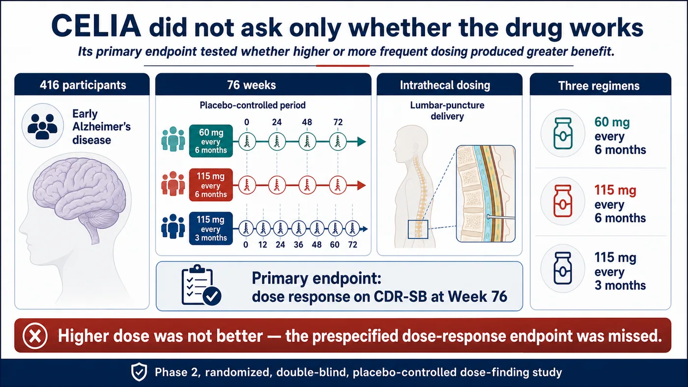 CELIA tested whether higher or more frequent dosing produced greater CDR-SB benefit