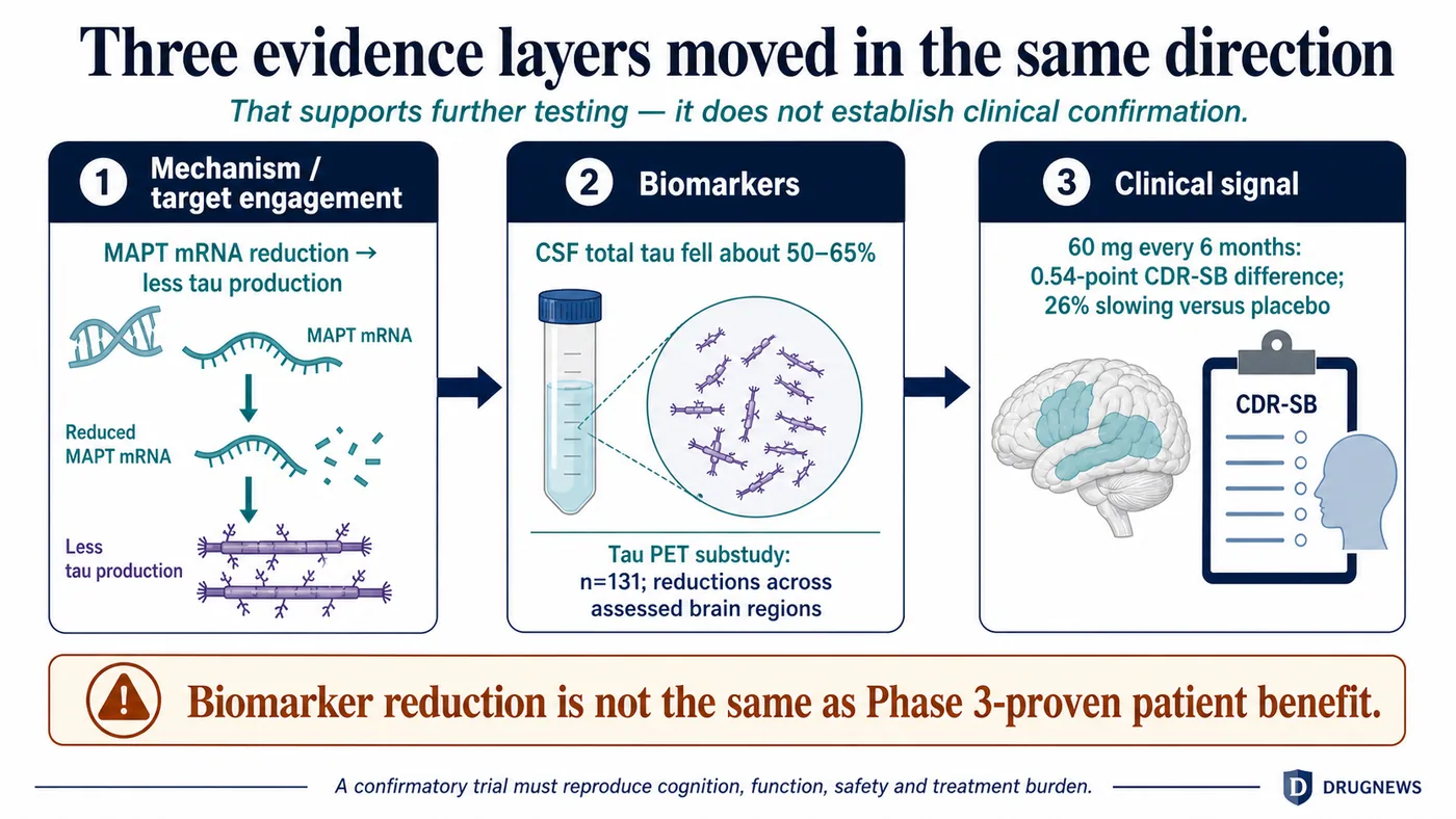 Mechanism, biomarkers and a selected clinical signal moved in the same direction but do not establish Phase 3 benefit