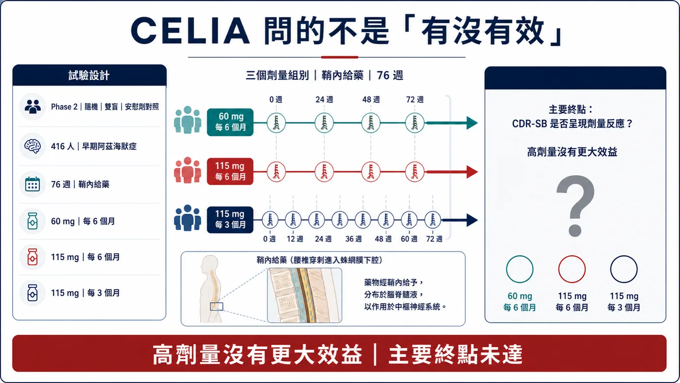 CELIA 的主要終點檢驗更高或更頻繁劑量是否帶來更大 CDR-SB 效益