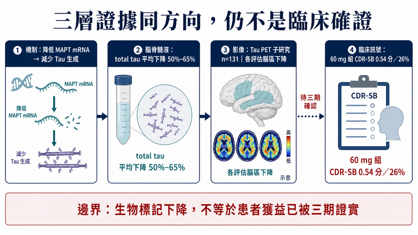 機制、生物標記與部分臨床結果同方向，仍不等於三期已證明患者效益