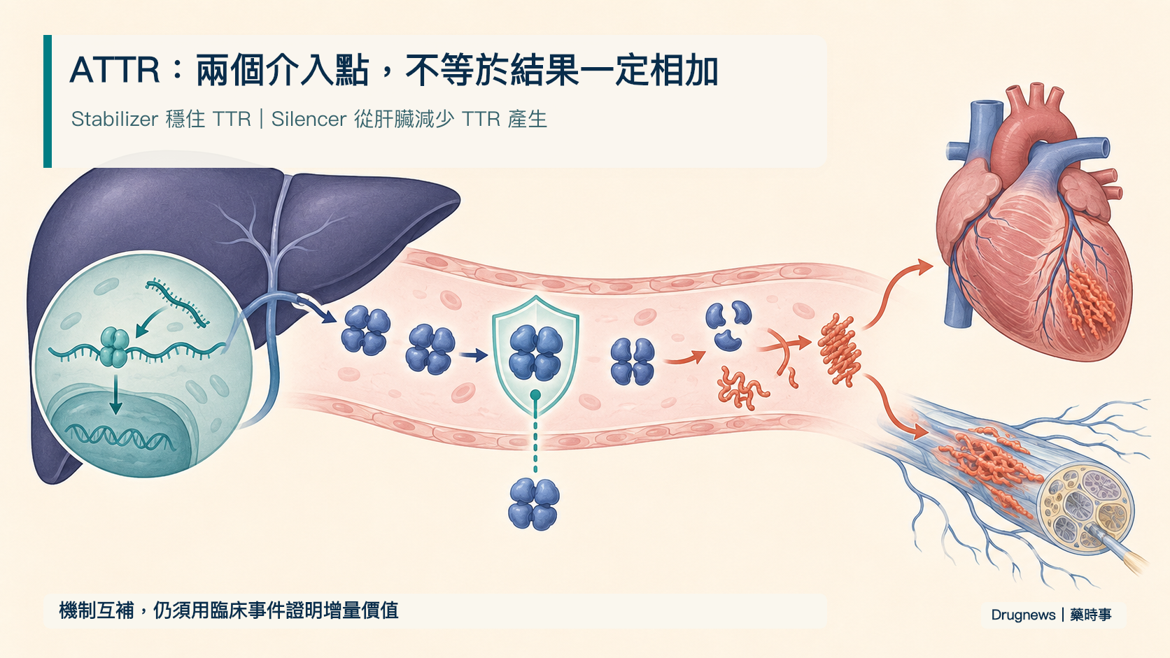 圖 2|ATTR 的兩個介入點不保證結果相加