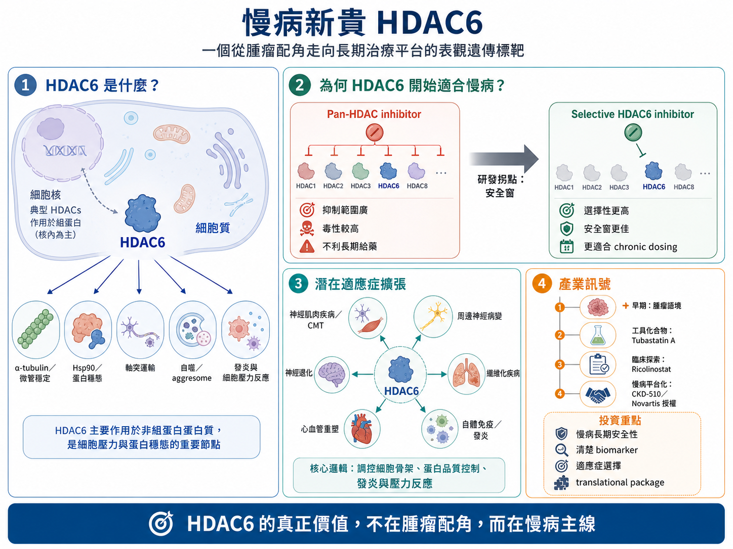 慢病新貴 HDAC6:一個從腫瘤配角走向長期治療平台的表觀遺傳標靶