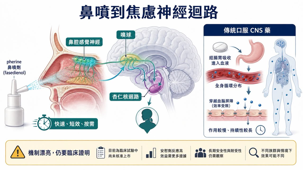 Facebook 原圖:社恐神藥三期踩煞車:Fasedienol 不是輸在故事,而是輸在 CNS 新藥最難證明的一格(圖 3)
