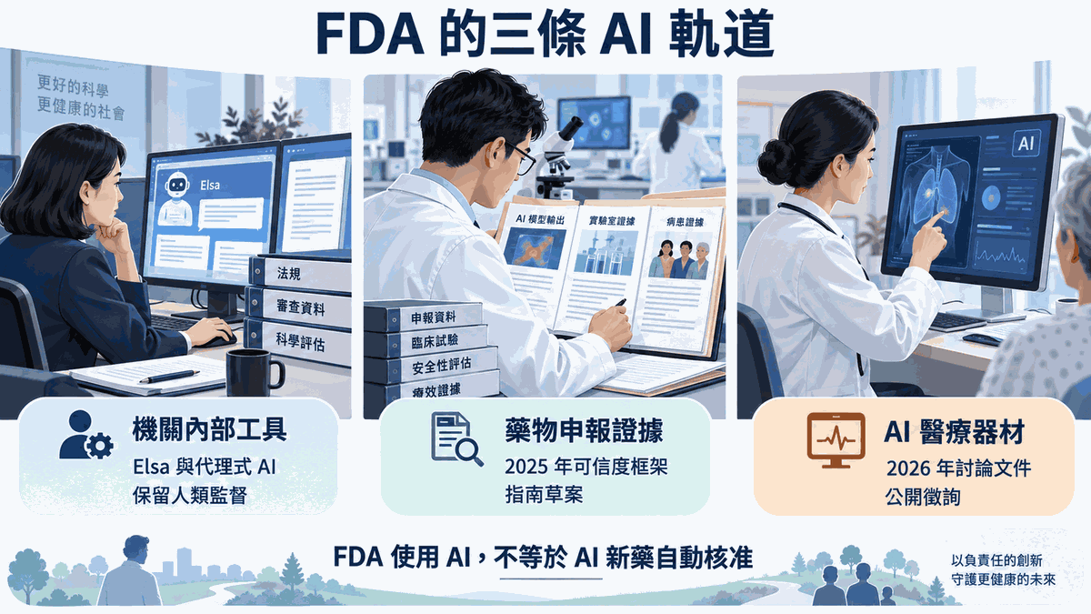 圖 2｜FDA 的三條 AI 軌道：內部工具、申報證據、AI 醫材