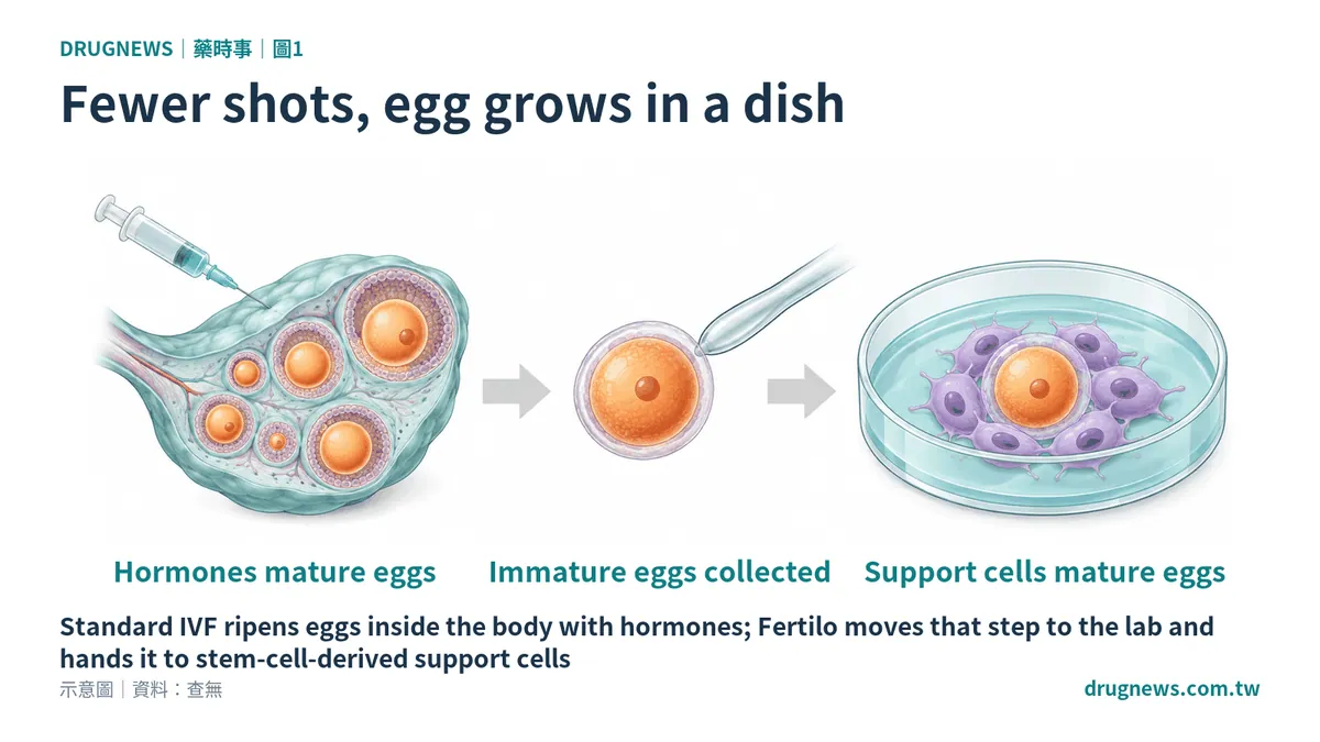 Fig. 1 | Fewer shots, egg grows in a dish