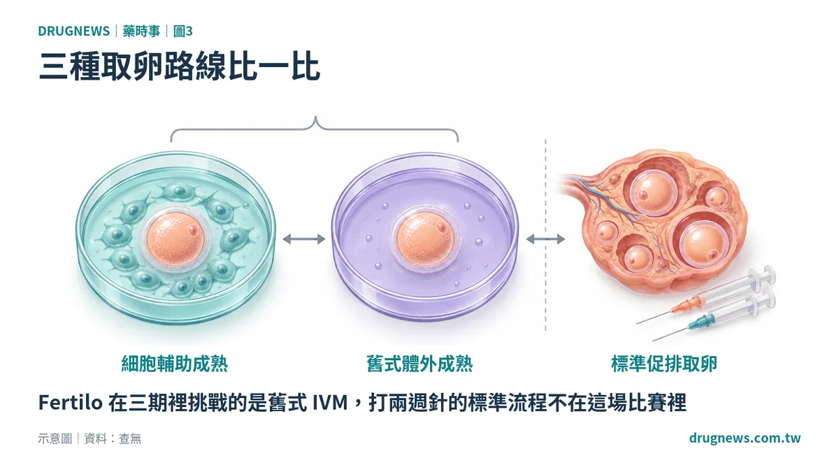 圖3|三種取卵路線比一比