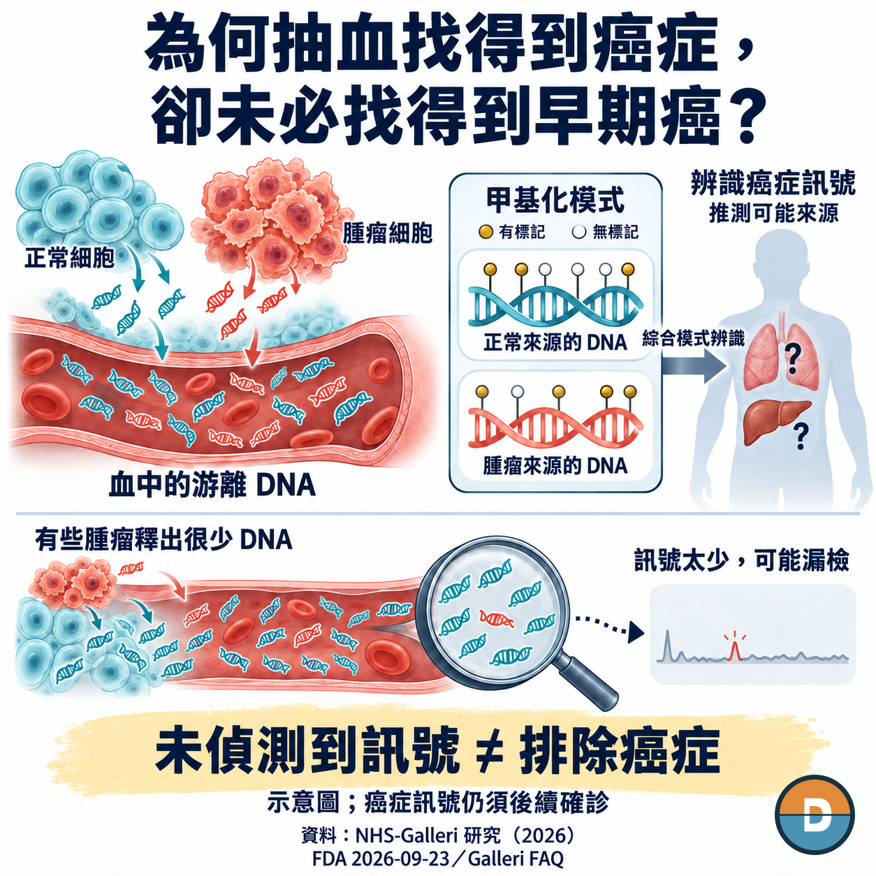 圖2｜從血中游離 DNA 到甲基化模式：為何早期癌可能漏掉；未偵測到訊號不能排除癌症