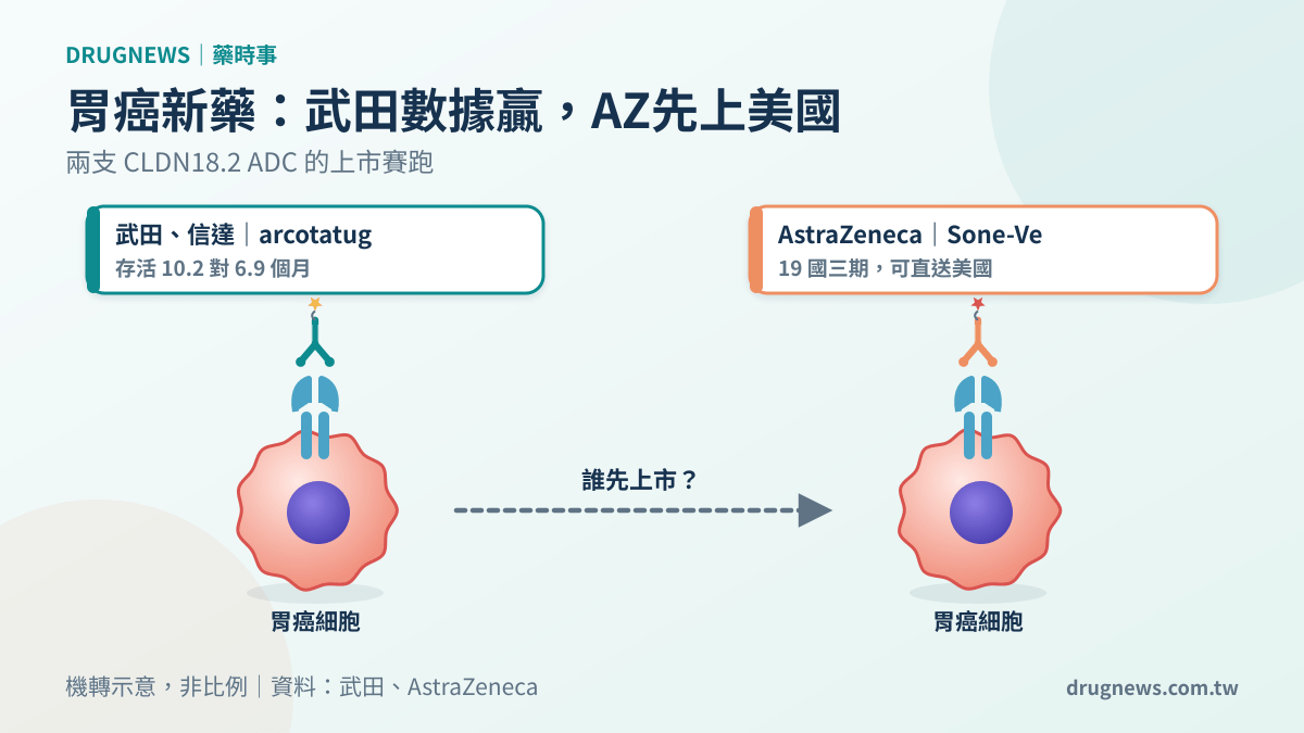 胃癌 CLDN18.2 ADC:武田與 AstraZeneca 的上市賽跑