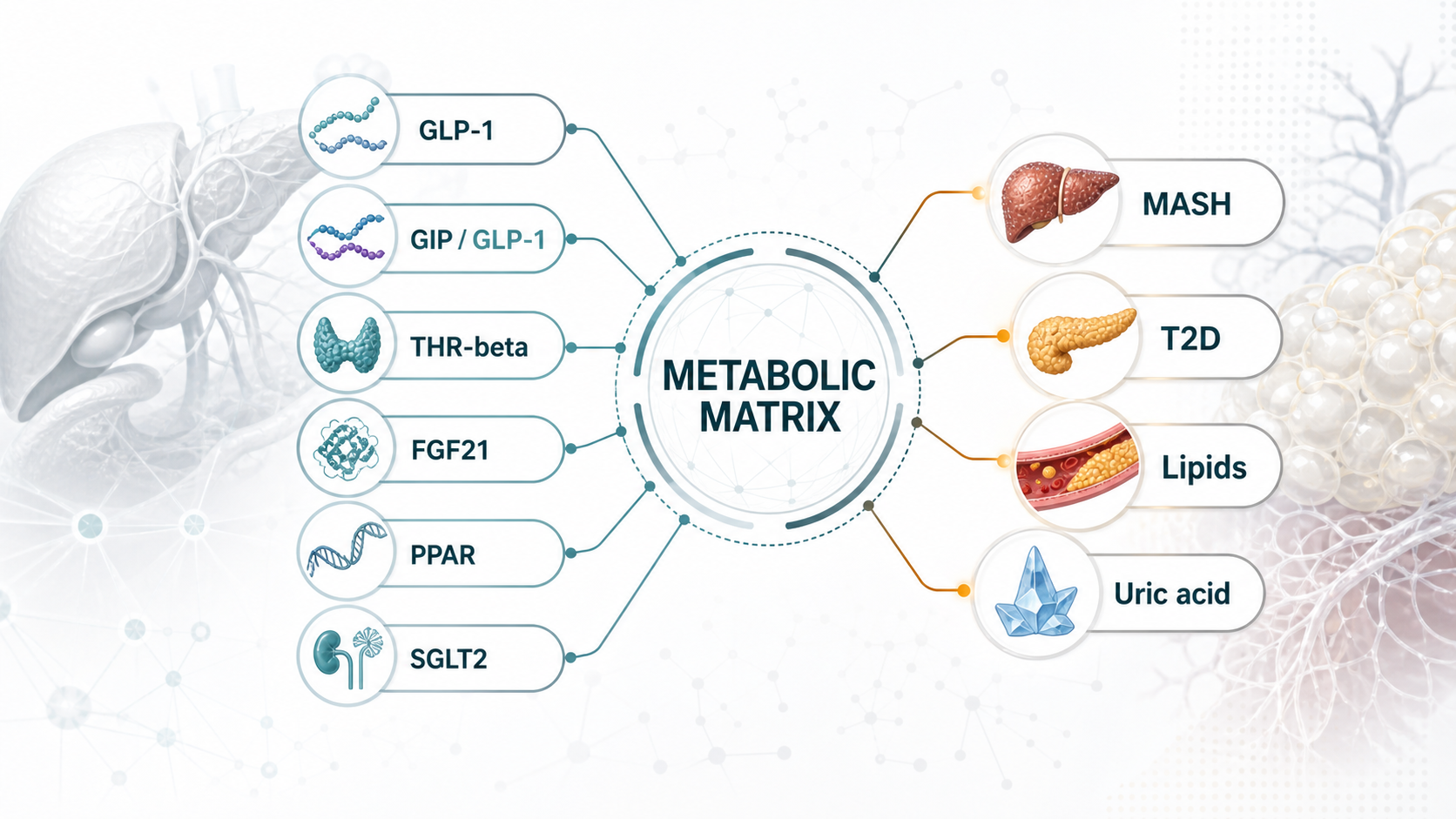 Figure 4 | Metabolic drug development is shifting toward mechanism combinations across MASH, T2D, lipids, and uric acid