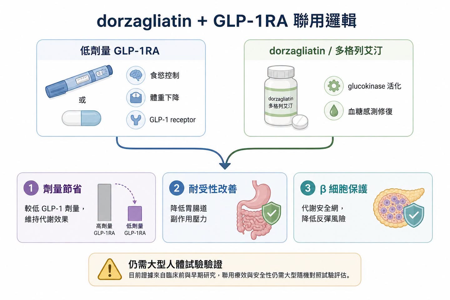 Facebook 原圖:GLP-1 下半場:dorzagliatin(多格列艾汀)想解決的,不是減重更猛,而是長期用得住(圖 3)