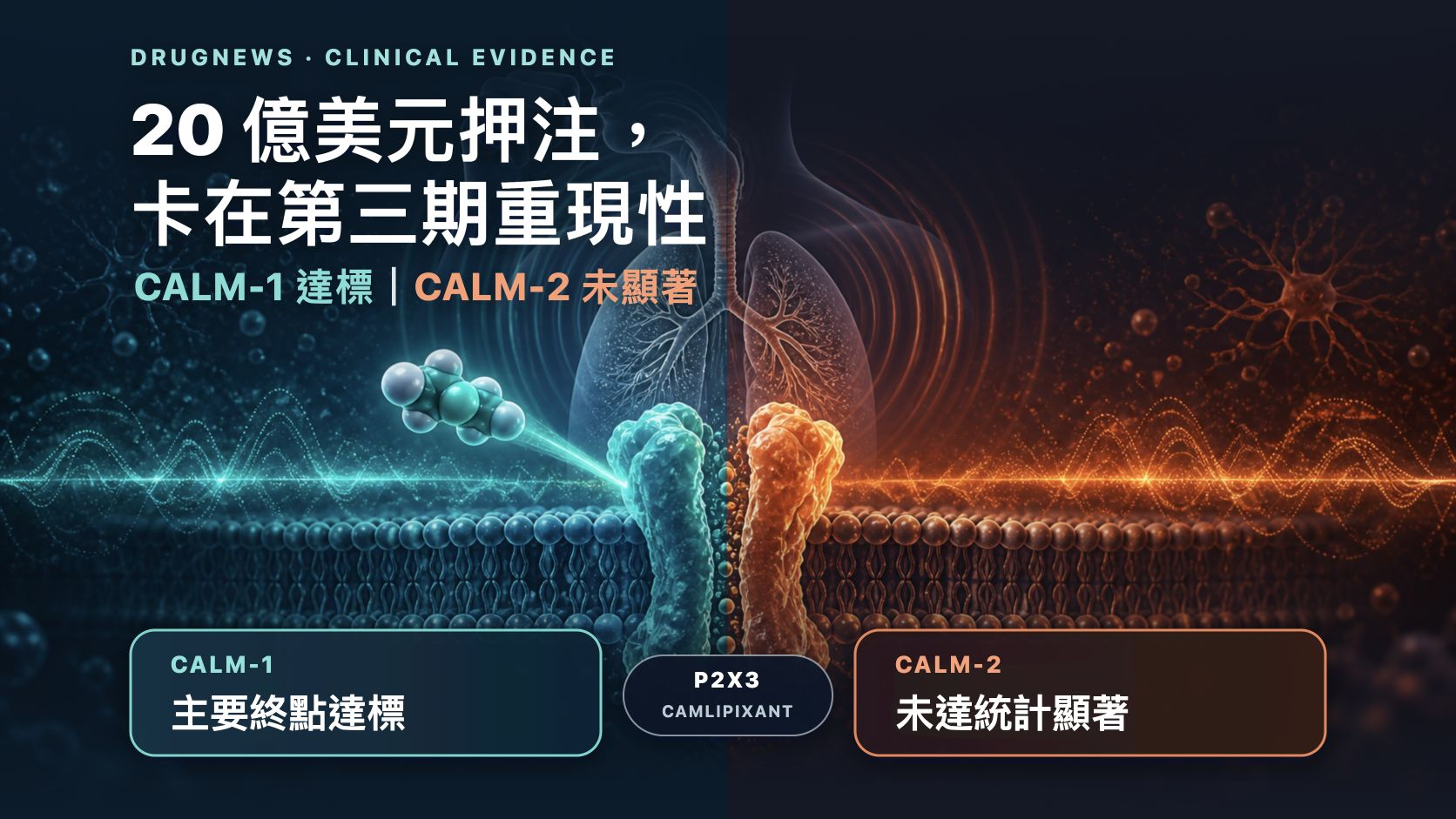 CALM-1 與 CALM-2 兩個第三期試驗軌道出現不同結果,呈現 camlipixant 的重現性風險