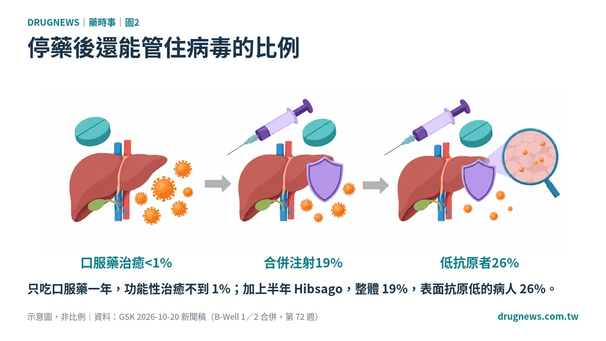 圖2｜停藥後還能管住病毒的比例