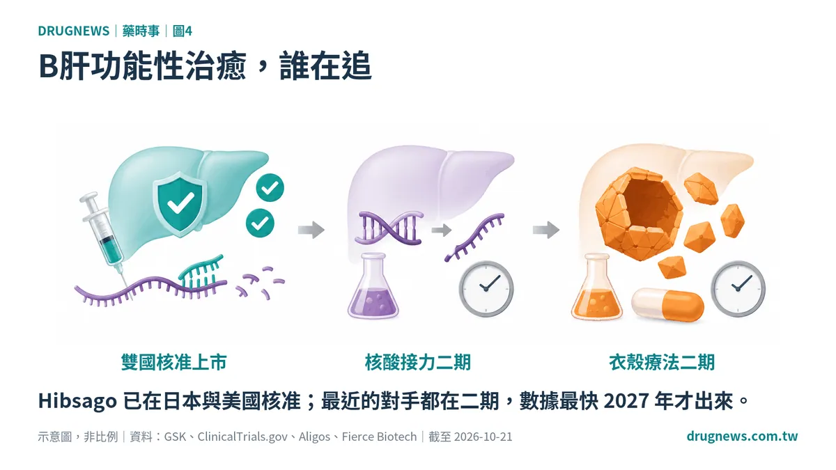 圖4｜B肝功能性治癒，誰在追