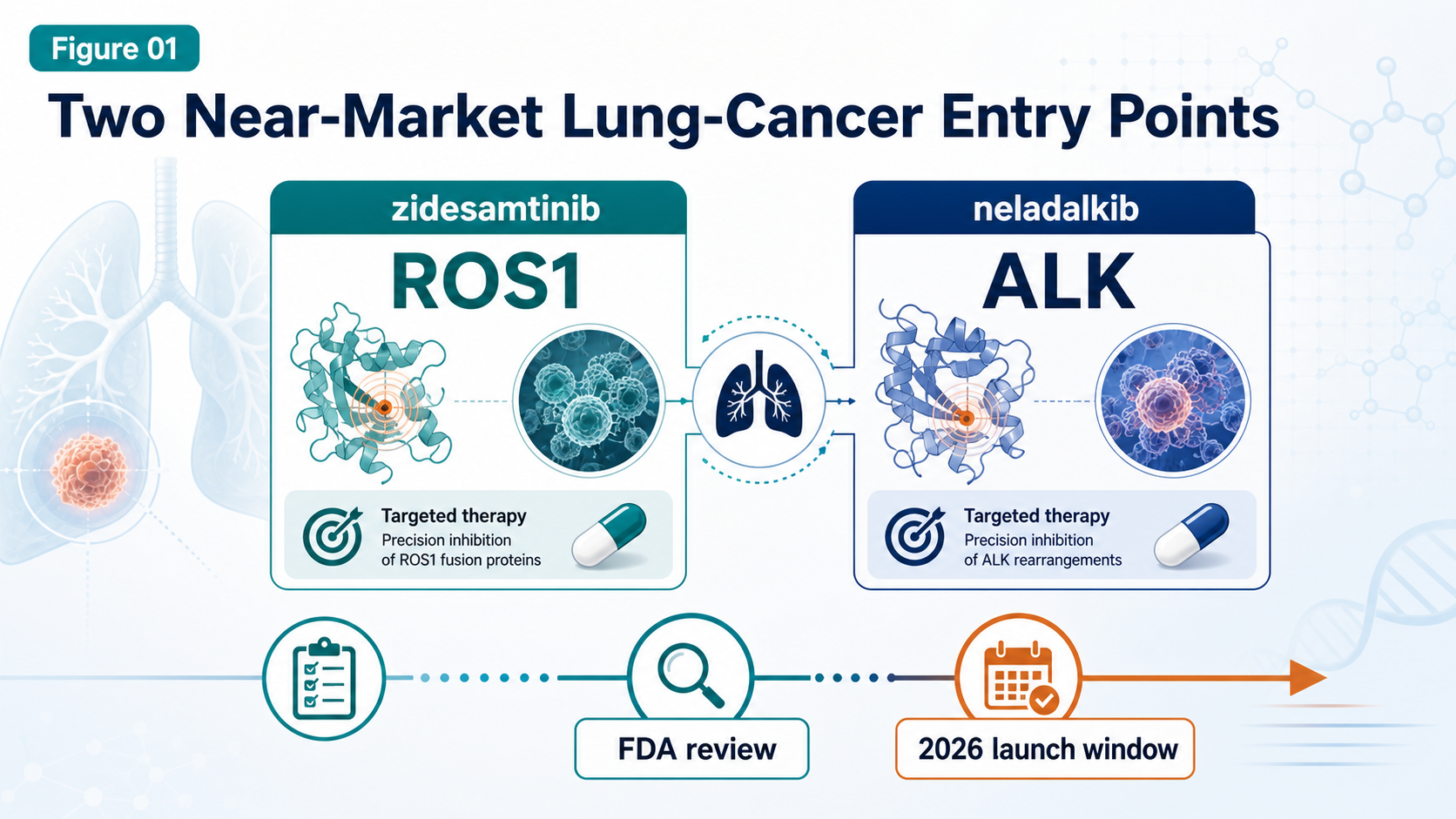 English BioRender-style figure showing GSK acquiring Nuvalent for two near-market lung-cancer entry points