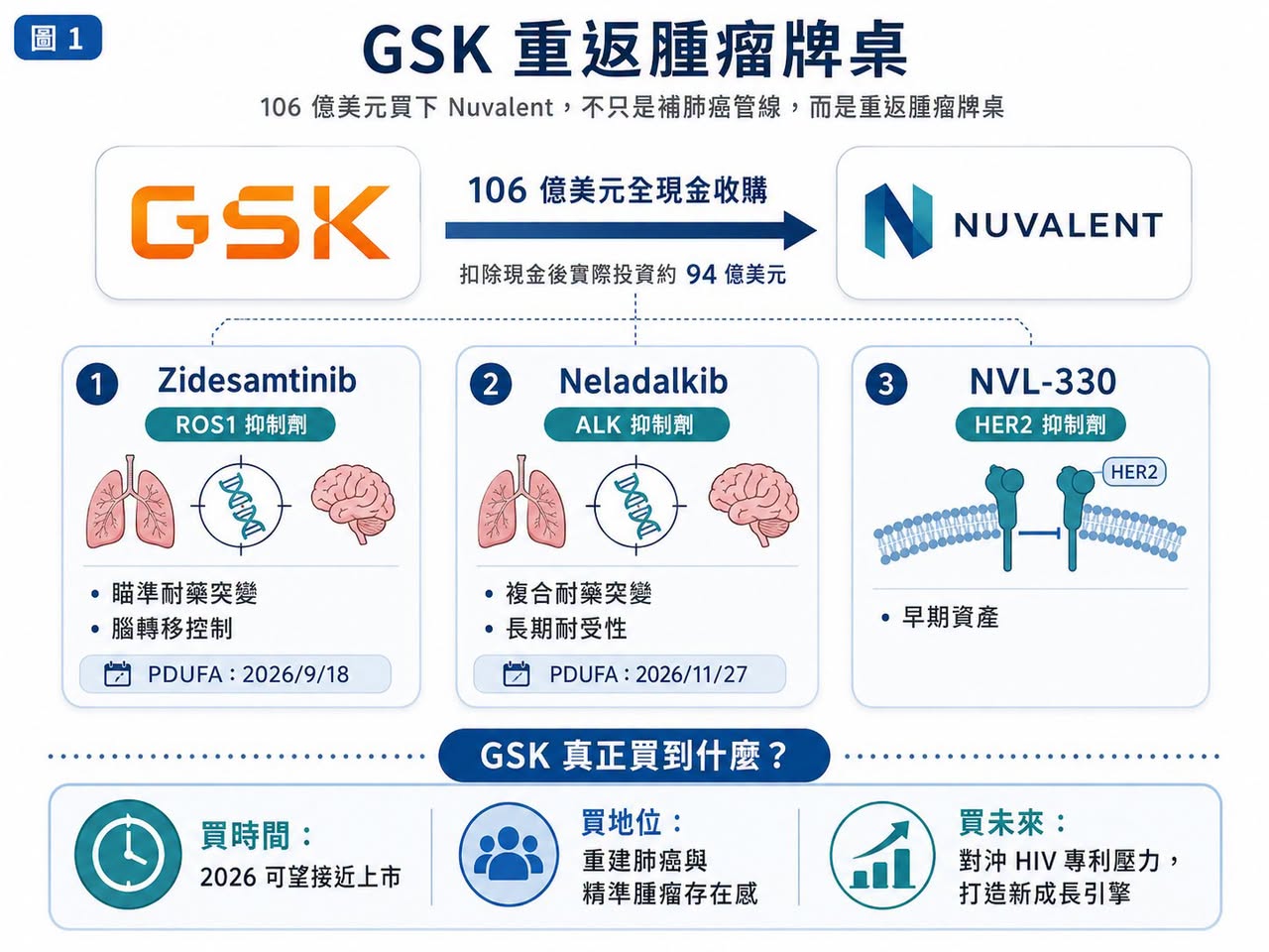 Facebook 原圖：GSK 上強度：106 億美元買下 Nuvalent，不只是補肺癌管線，而是重返腫瘤牌桌（圖 1）