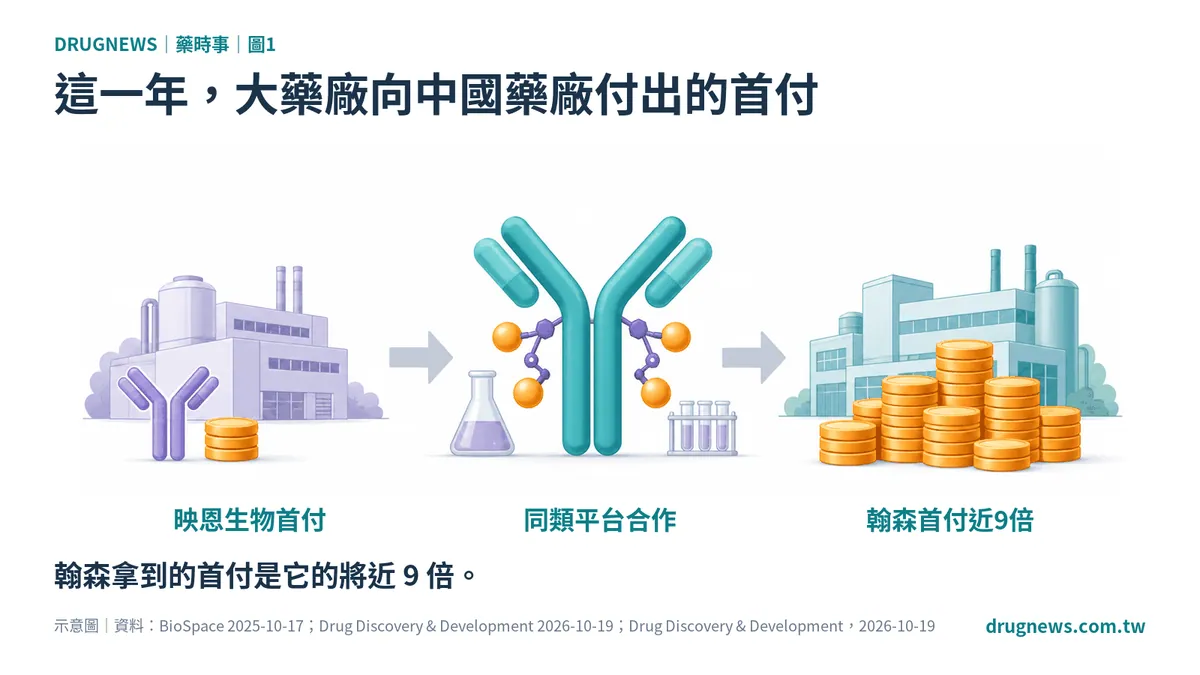 這一年,大藥廠向中國藥廠付出的首付