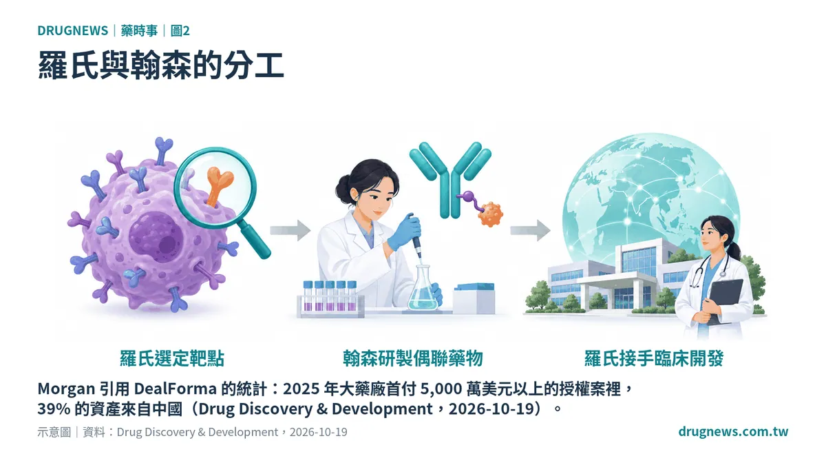 羅氏與翰森的分工