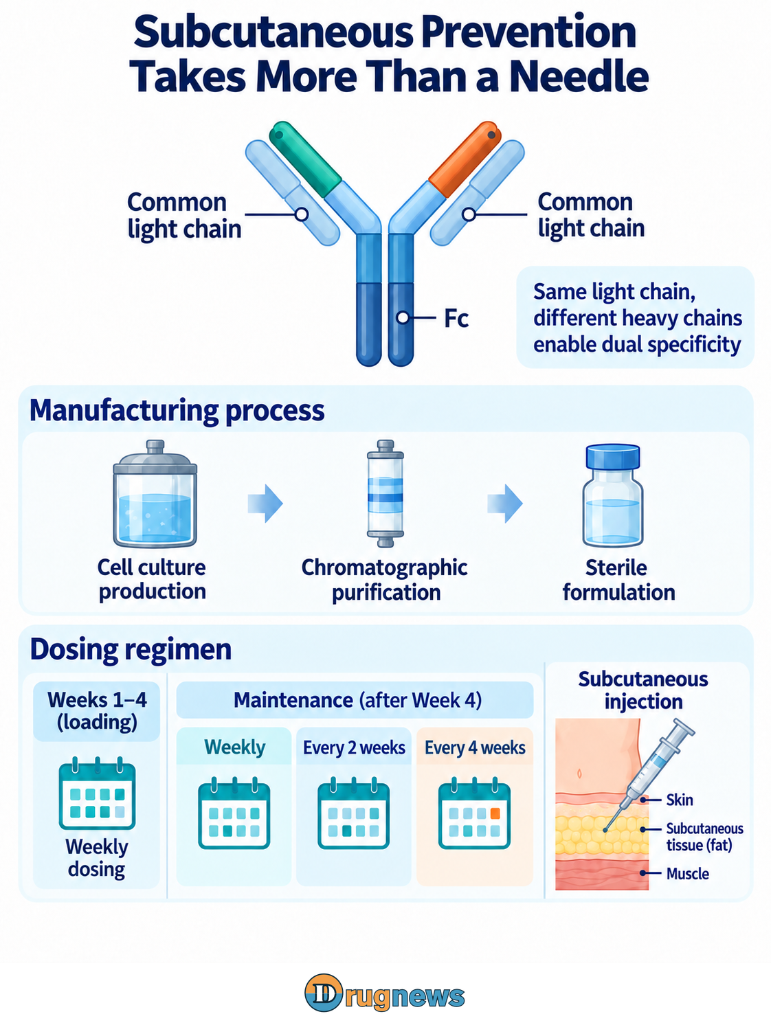 Common-light-chain antibody engineering, purification and formulation lead to subcutaneous administration. A four-week weekly loading period is followed by separate weekly, every-two-week and every-four-week maintenance options.