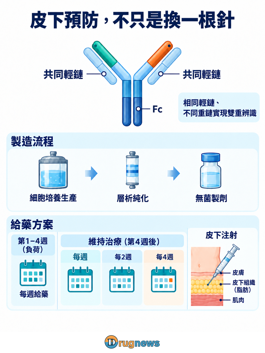 共同輕鏈抗體、純化與製劑圖示連到皮下給藥;四週每週負荷期後,分列每週、每兩週與每四週維持選項。
