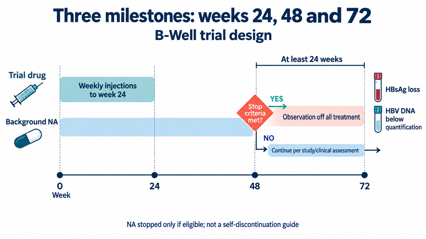 Two treatment bands share a timeline labeled 0, 24, 48 and 72 weeks. The study drug ends at week 24, while NA treatment can stop at week 48 only after an eligibility assessment. HBsAg and HBV DNA testing at week 72 assesses the outcome after treatment withdrawal.