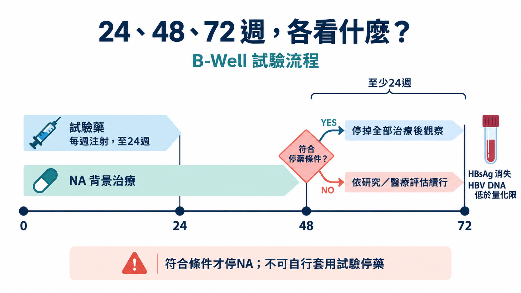 兩條治療帶共用0到72週時間軸，試驗藥在24週結束，NA在48週經資格判定後才可能停止，72週以HBsAg和HBV DNA檢驗確認結果。